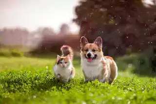 Kids Playzone at Cullian Versova